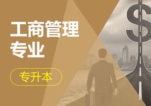 成考电子商务专业容易吗